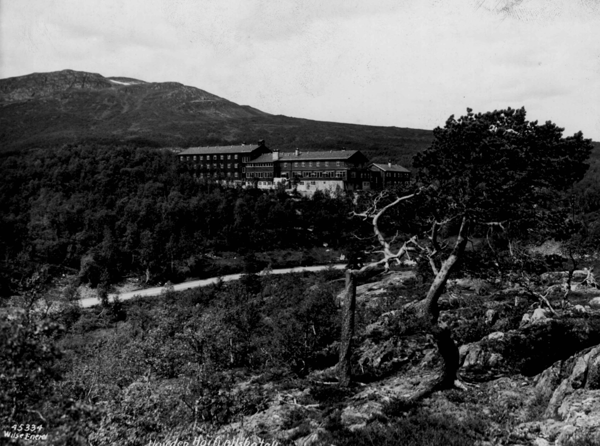 Anders Beer Wilse, Hovden Hoyfjellshotell.