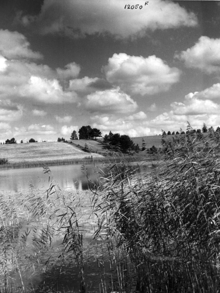 Anders Beer Wilse, V/ Raknehaugen