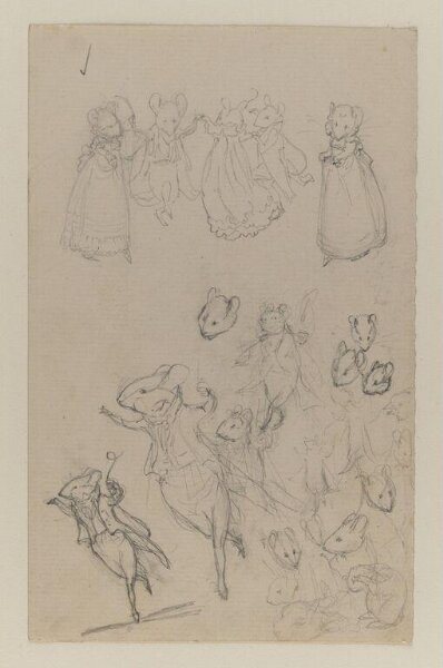 Potter, Beatrix, drawing