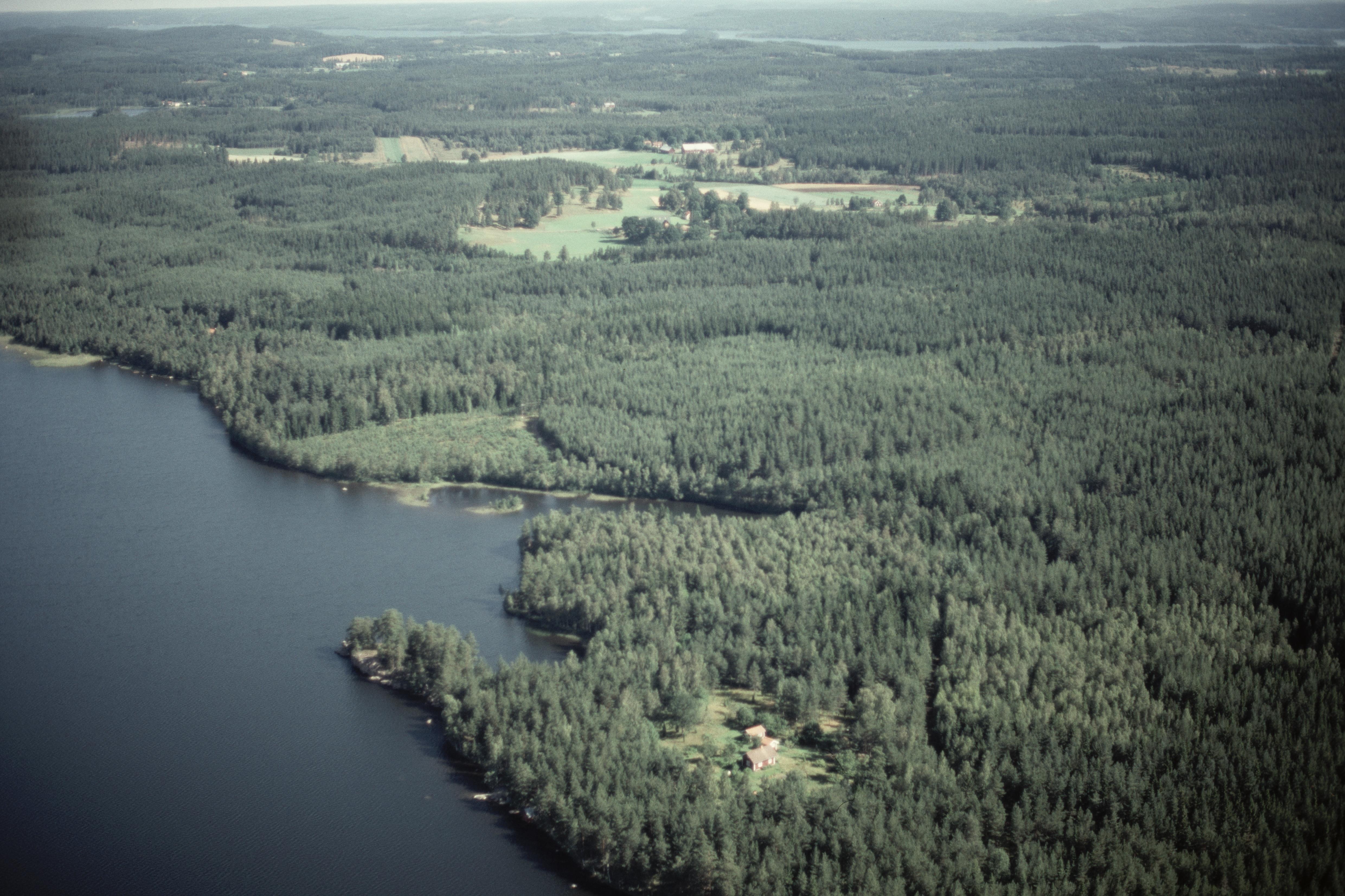 Jan Norrman, Sund 145:1