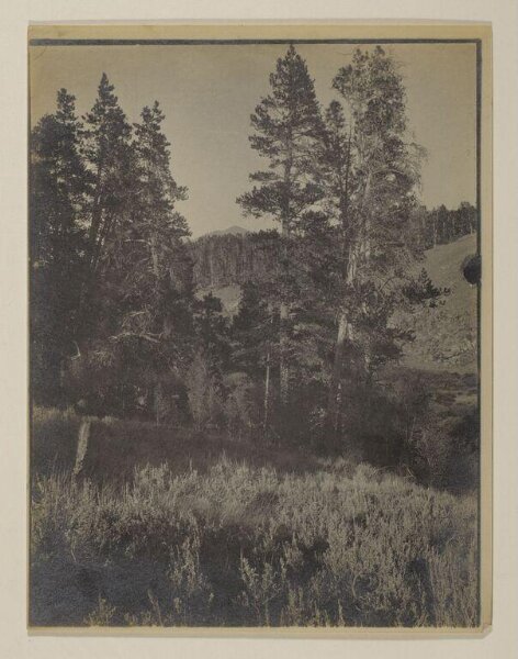 John Everett Millais, Photograph