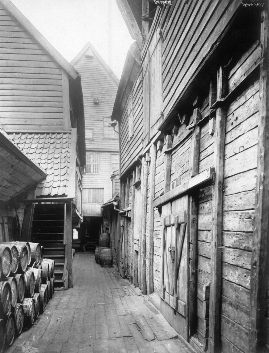 Anders Beer Wilse, Topografi, Tyskebryggen