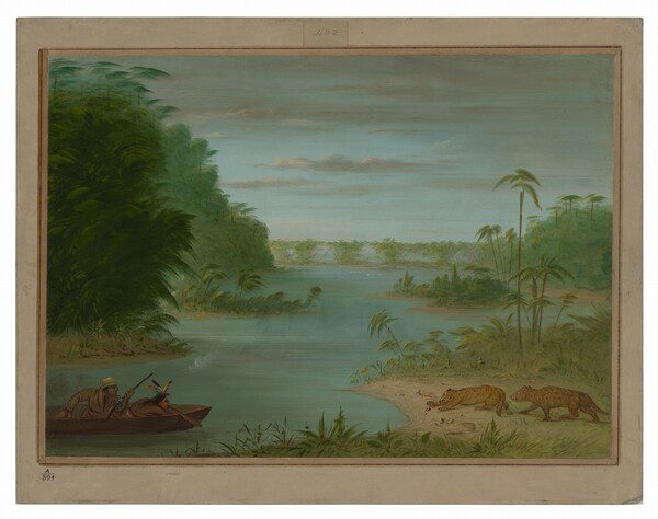 George Catlin, Pont de Palmiers and Tiger Shooting