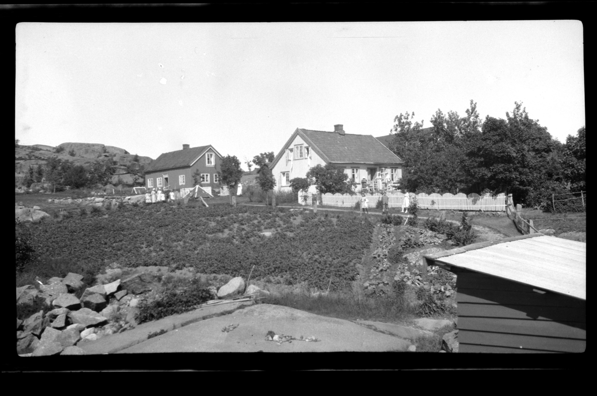 Rolf Sr. Sundt, To hus ved siden av hverandre med dyrket mark foran, Vikerholmen. Fotografert 1917.