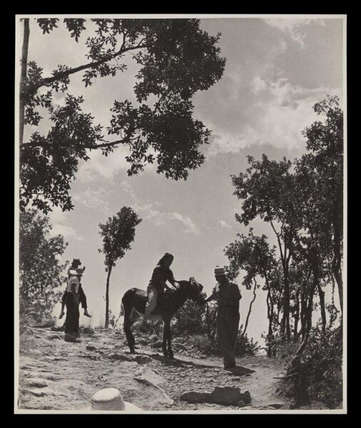 Hardy, Bert, Portuguese Rice Harvest