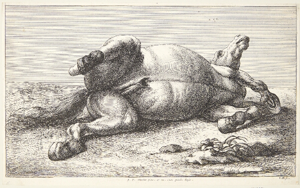 Jan van Huchtenburg, Falden hest