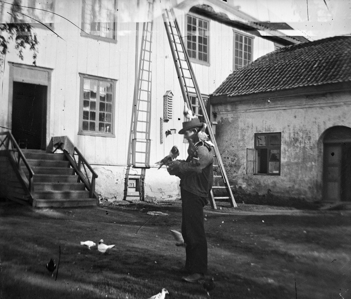 Jacob Tollesen Hoel, Hovinsholm gård, Helgøya i Ringsaker. Mann mater duer, indre gårdsplass. Foto Jacob Hoel.