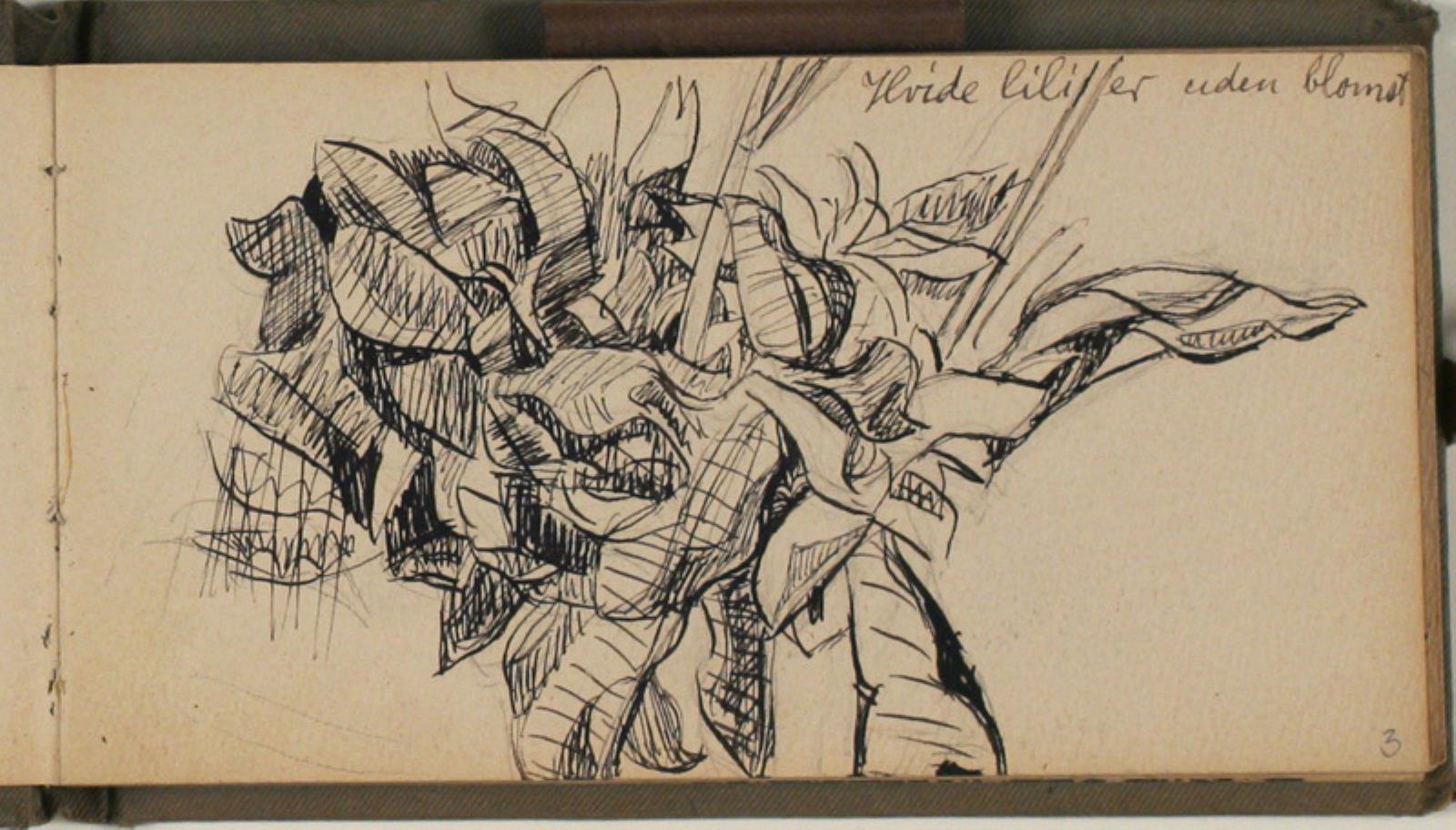 Niels Larsen Stevns, Blomsterstudier
