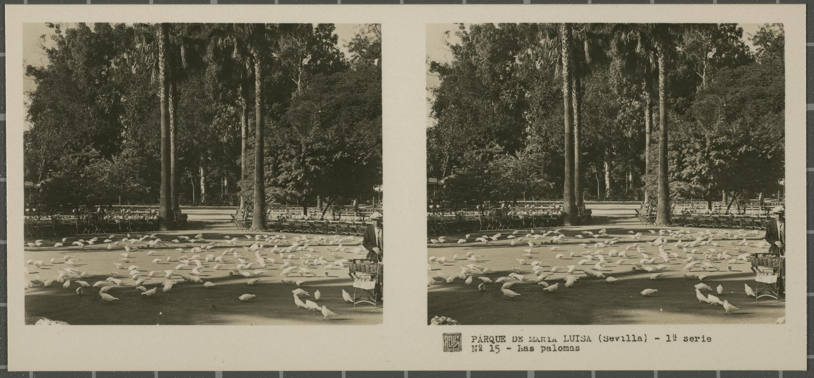 Desconegut, Parque de Maria Luisa (Sevilla)