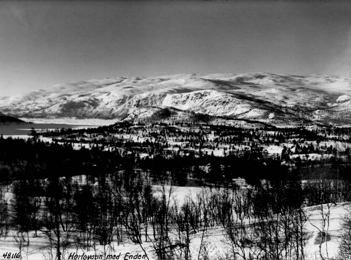 Anders Beer Wilse, Hovden mot Enden, vinter, sno.