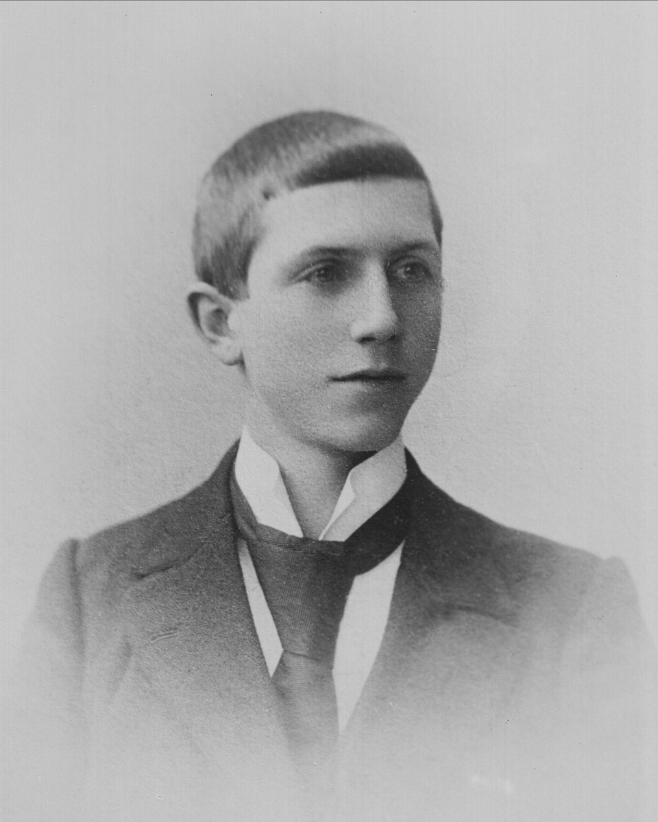 Gustav Borgen, Avfotografering.