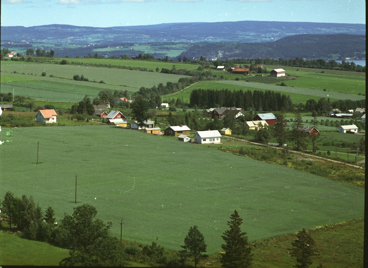 Widerøes Flyveselskap A/S, Flyfoto, landbruk, bebyggelse, Balstad i bakgrunn, Nes, Hedmark.