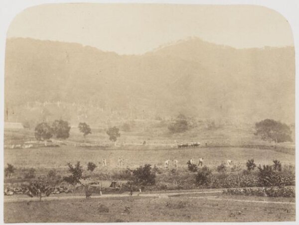 Kerr, Henry, Photograph