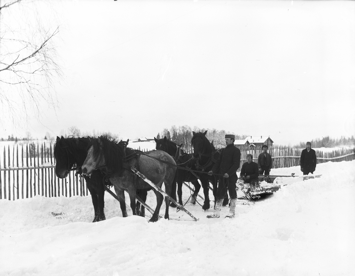 Anders Beer Wilse, Prot: Sneplougen forfra Mars 1901