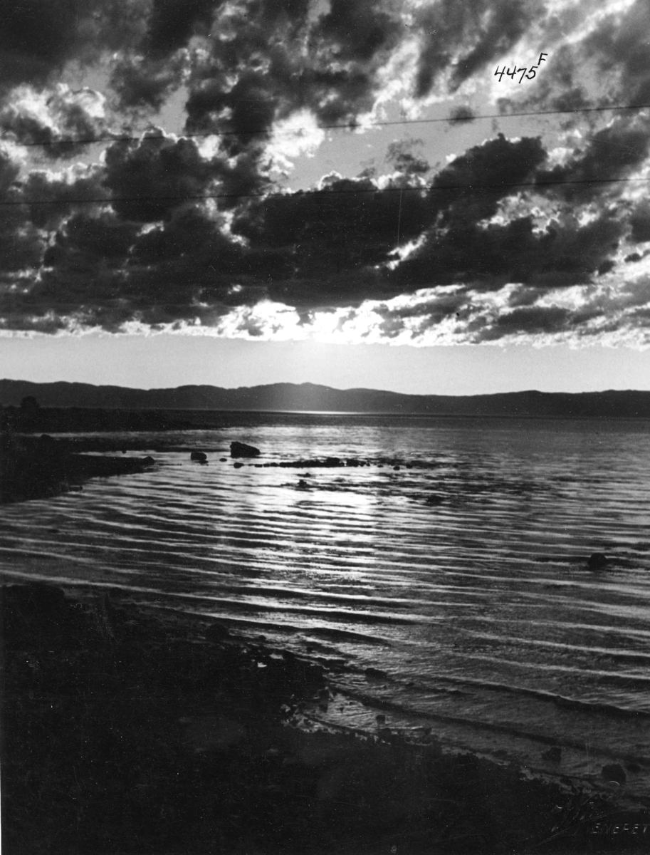 Anders Beer Wilse, Topografi Malvik 1936