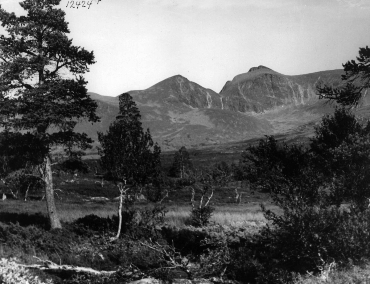Anders Beer Wilse, Sølen, Landskap