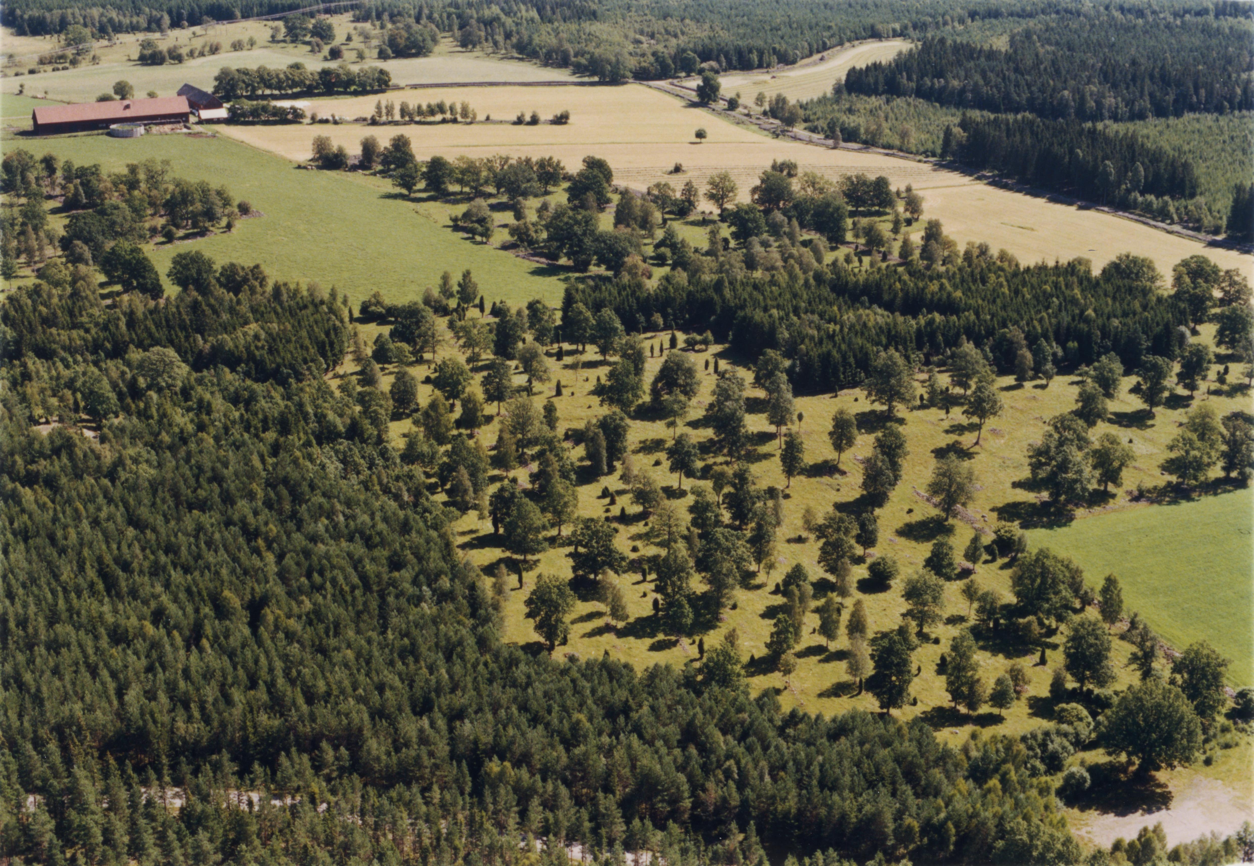 Jan Norrman, Lenhovda 113:1