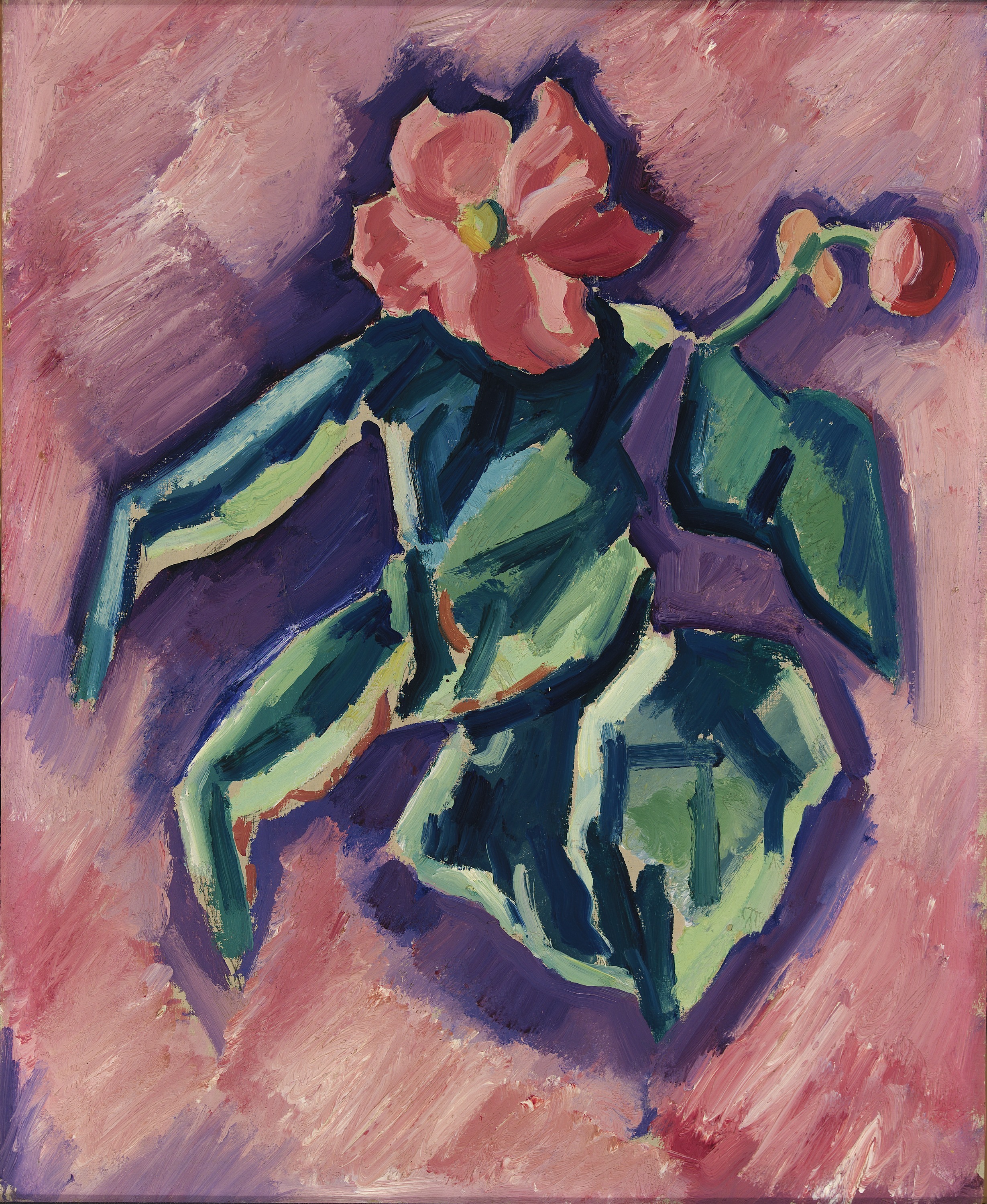 Marsden Hartley, Pink Begonias