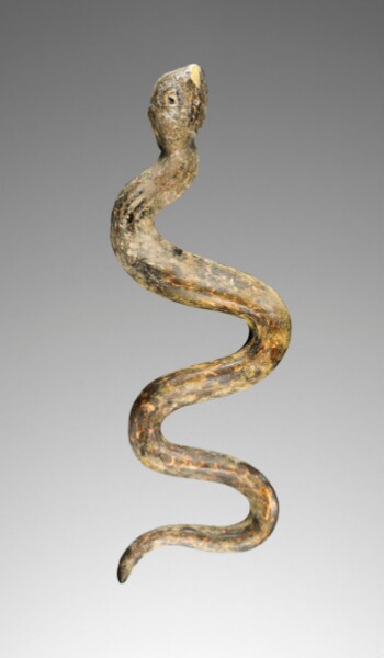 Unknown, Snake