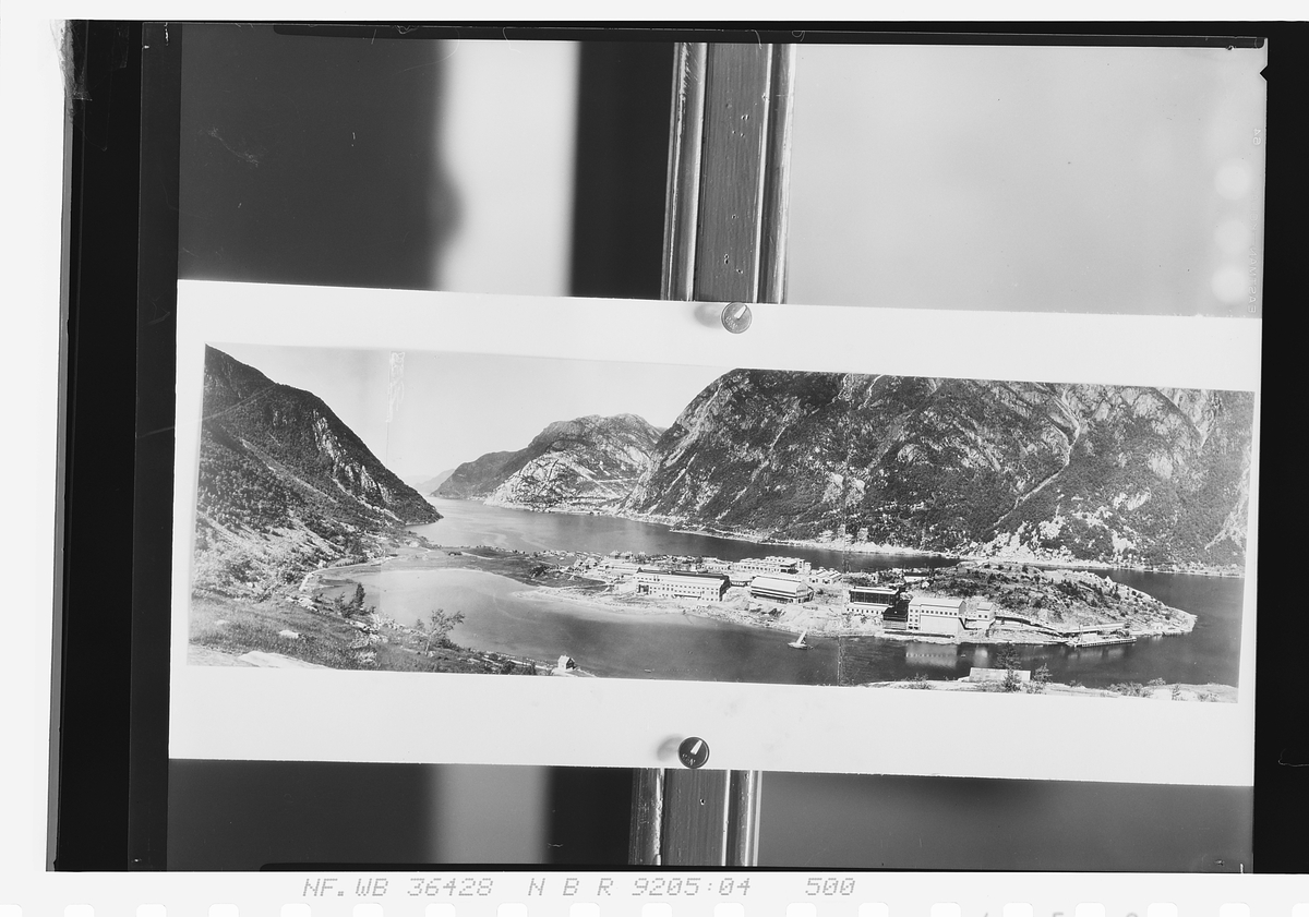 Anders Beer Wilse, Prot: Odda Zinkkompani Pan