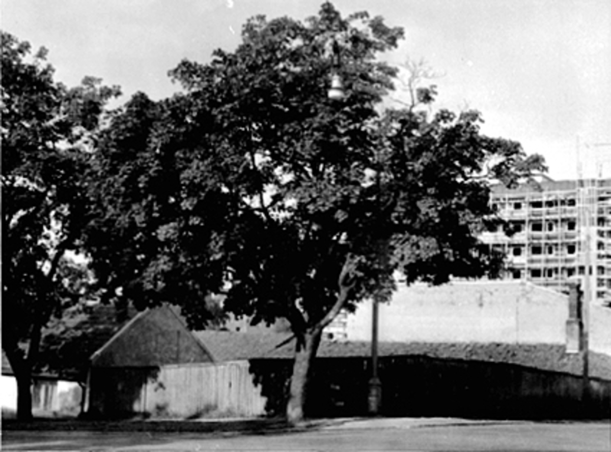 Anno Domkirkeodden, EKSTERIØR TORGGATA 91, HJØRNETOMTEN, KIRKEBAKKEN/GRØNNEGATA, TREGJERDE, BYGGING AV "ÅTTENDE ETASJE" I BAKGRUNNEN
