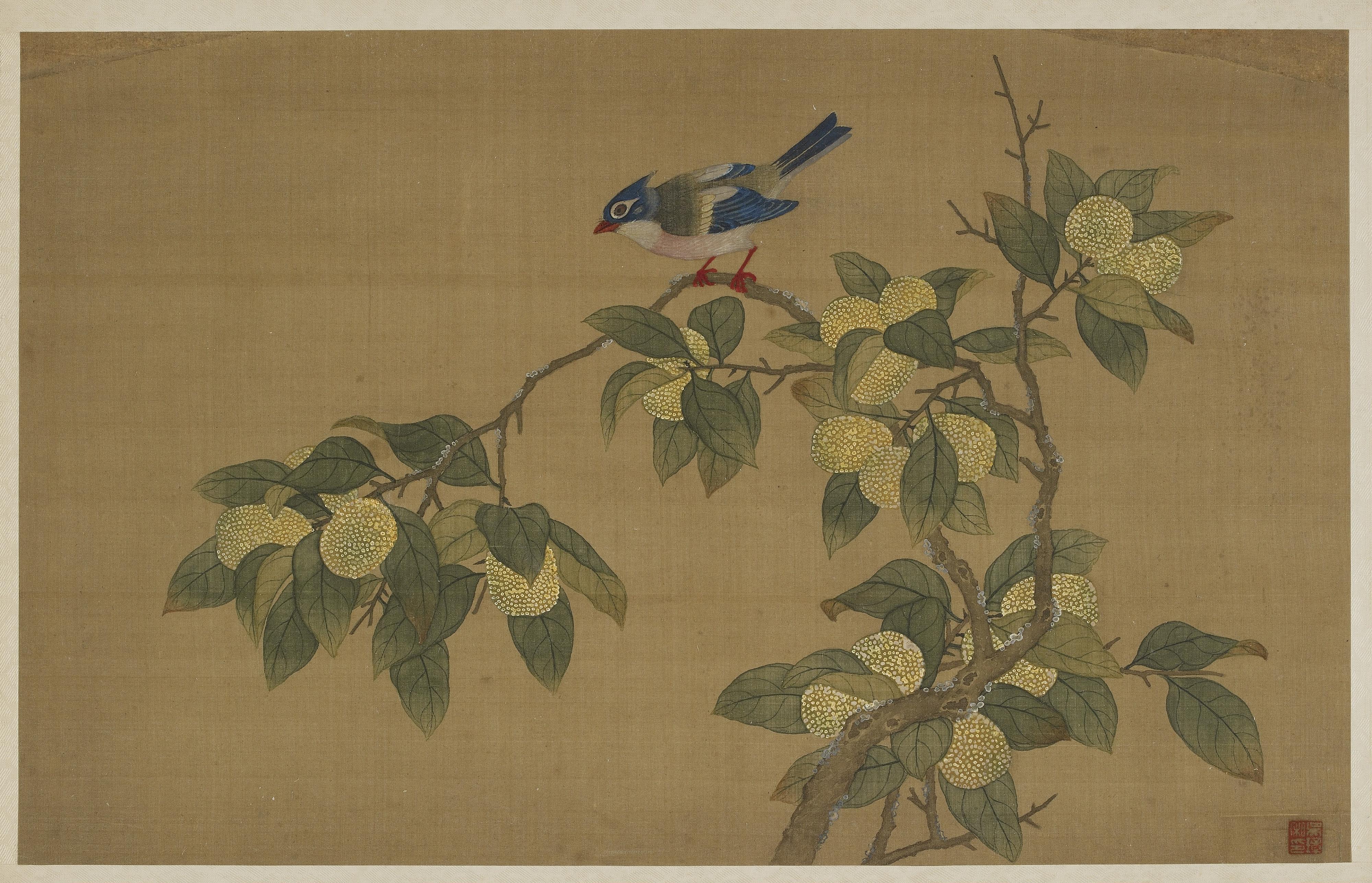 Wu Zhang, Bird and fruit