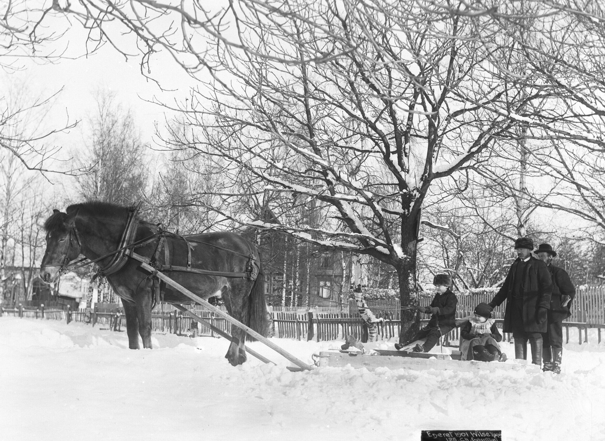 Anders Beer Wilse, Prot: Storkar Gut kjørende Sneplog Mars 1901