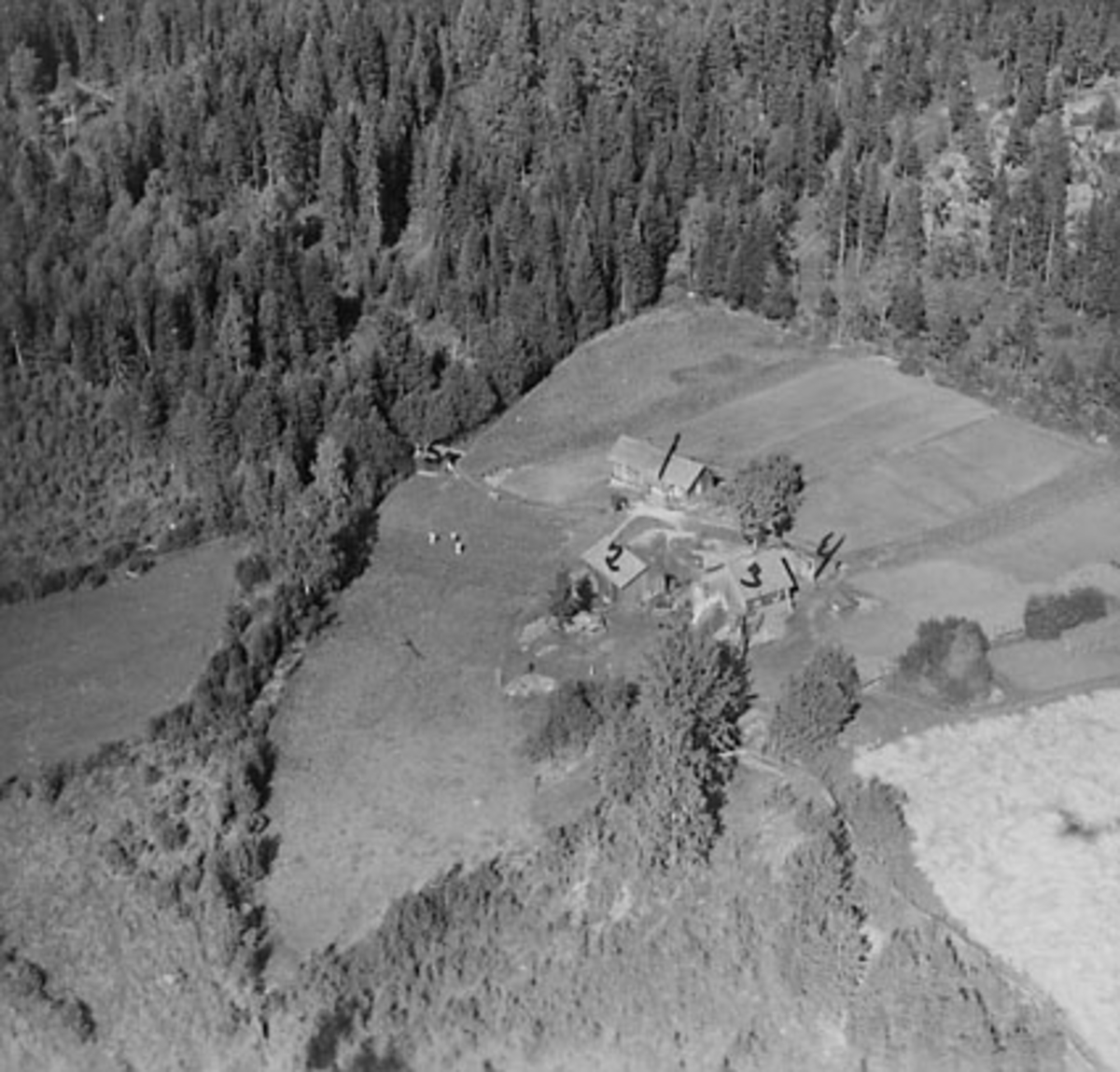 Widerøes Flyveselskap A/S, FLYFOTO KLAFSTADENGEN, ÅSVANG