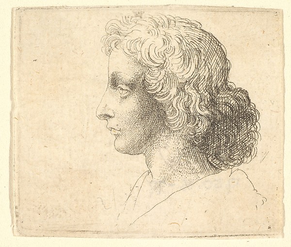 Wenceslaus Hollar, Head of young man with long hair in profile to the left