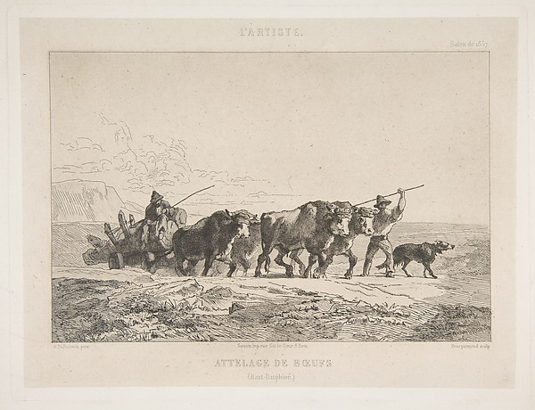 Félix Bracquemond, Team of Cattle (Haut-Dauphiné), from "L'Artiste"