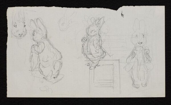 Potter, Beatrix, drawing