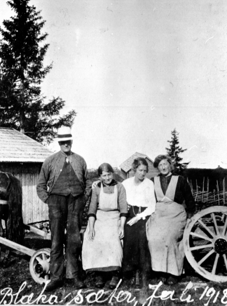 Anno Domkirkeodden, Peder Tommesen Korslund (1857-1924) og tre budeier på Blæka seter, Kongsrud, Nes, Hedmark.