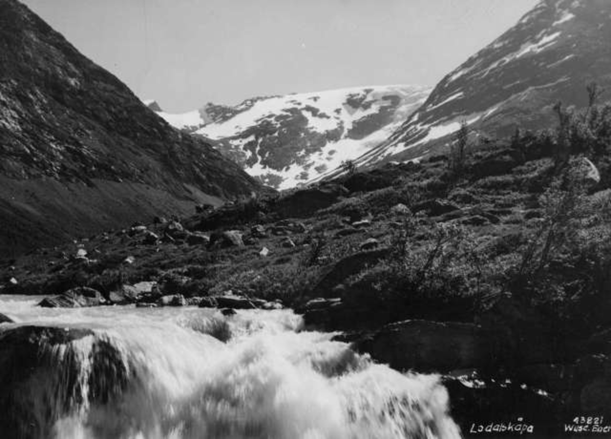 Anders Beer Wilse, -7054