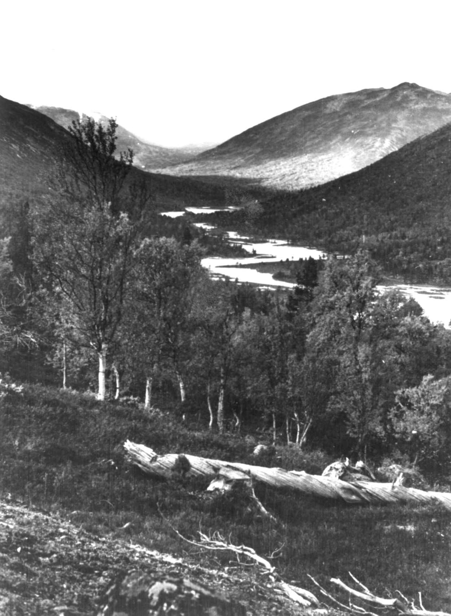 Anna Grostøl, Skjåk, Oppland 1941. Oversiktsbilde fra Sota.