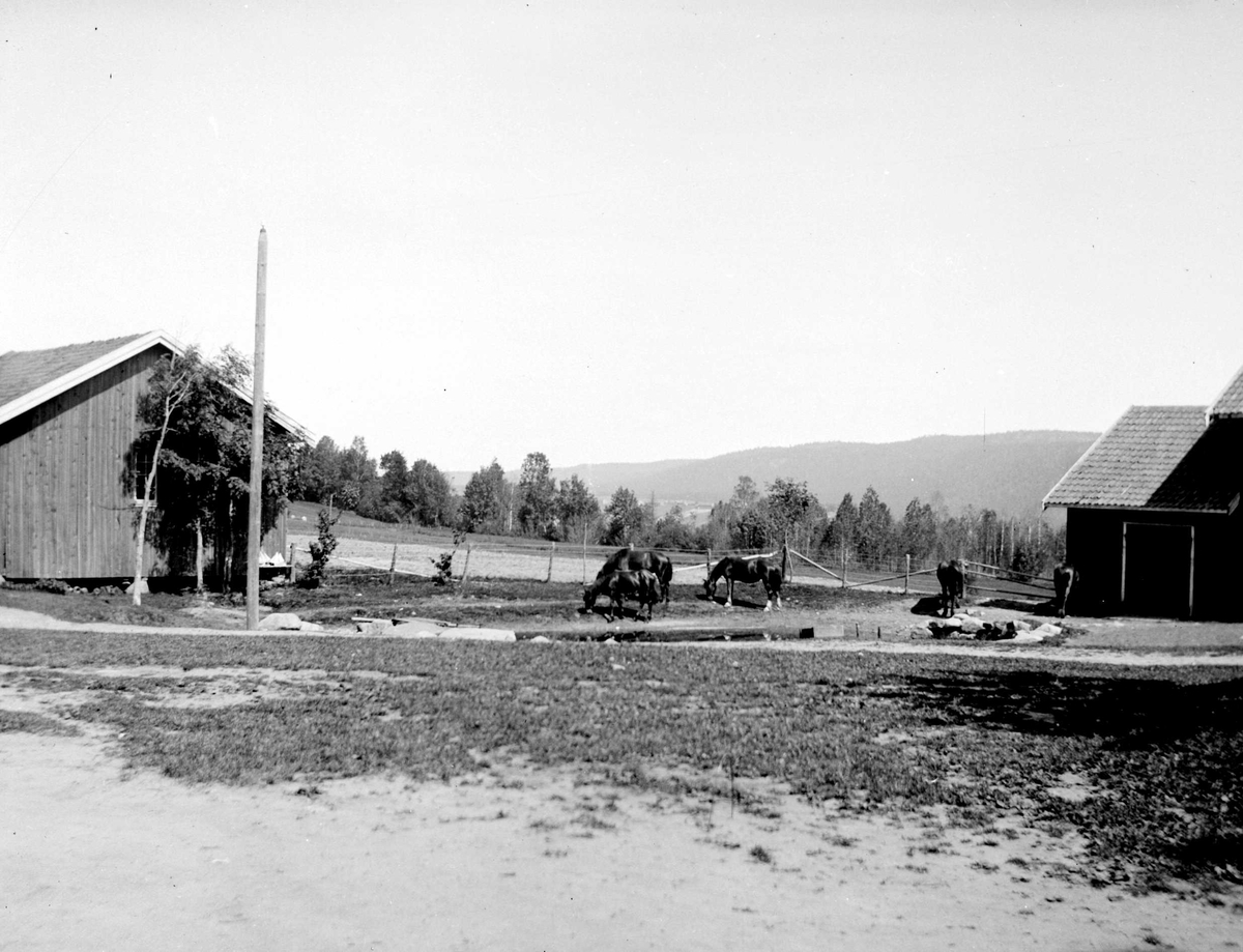 Juliane Fredrikke Langberg, Hurum prestegård, del av gårdstun med driftbygninger, vanningsplass (dam) og beiteområde med hester. Fotografens svoger, Olaf A. Holm var sokneprest i Hurum 1897-1904. Fra malerinne Juliane Fredrikke Langbergs (1856-1930) samling, tatt ca.1895-1910 med motivkrets slekt og venner samt steder tilknyt…