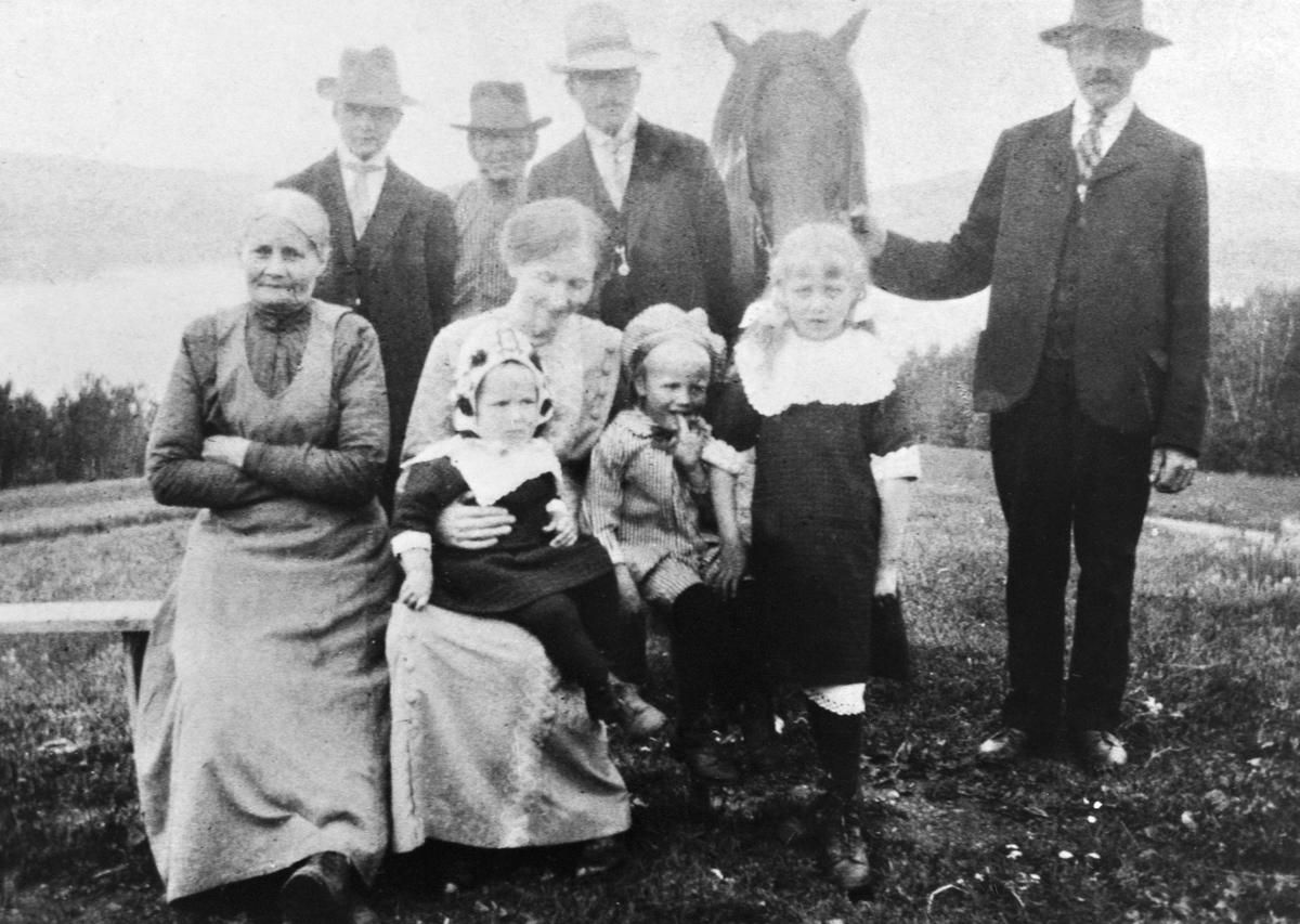 Anno Domkirkeodden, GRUPPE: 9, FAMILIEN LIEN, SKABERUD, 1917. BAK FRA VENSTRE: ANDERS LIEN, PER LIEN, OLA LIEN, MANNEN SOM HOLDER HESTEN HETER OLAF LIEN. FORAN FRA VENSTRE: ANDREA LIEN, ANNE HELENE LIEN, PÅ FANGET: ASTRID LIEN, ARNE O. LIEN, PETRA LIEN, ESPA. SE STANGE HISTORIELAGS ÅRBOK - GAMMALT FRÅ STANGE OG ROMEDA…