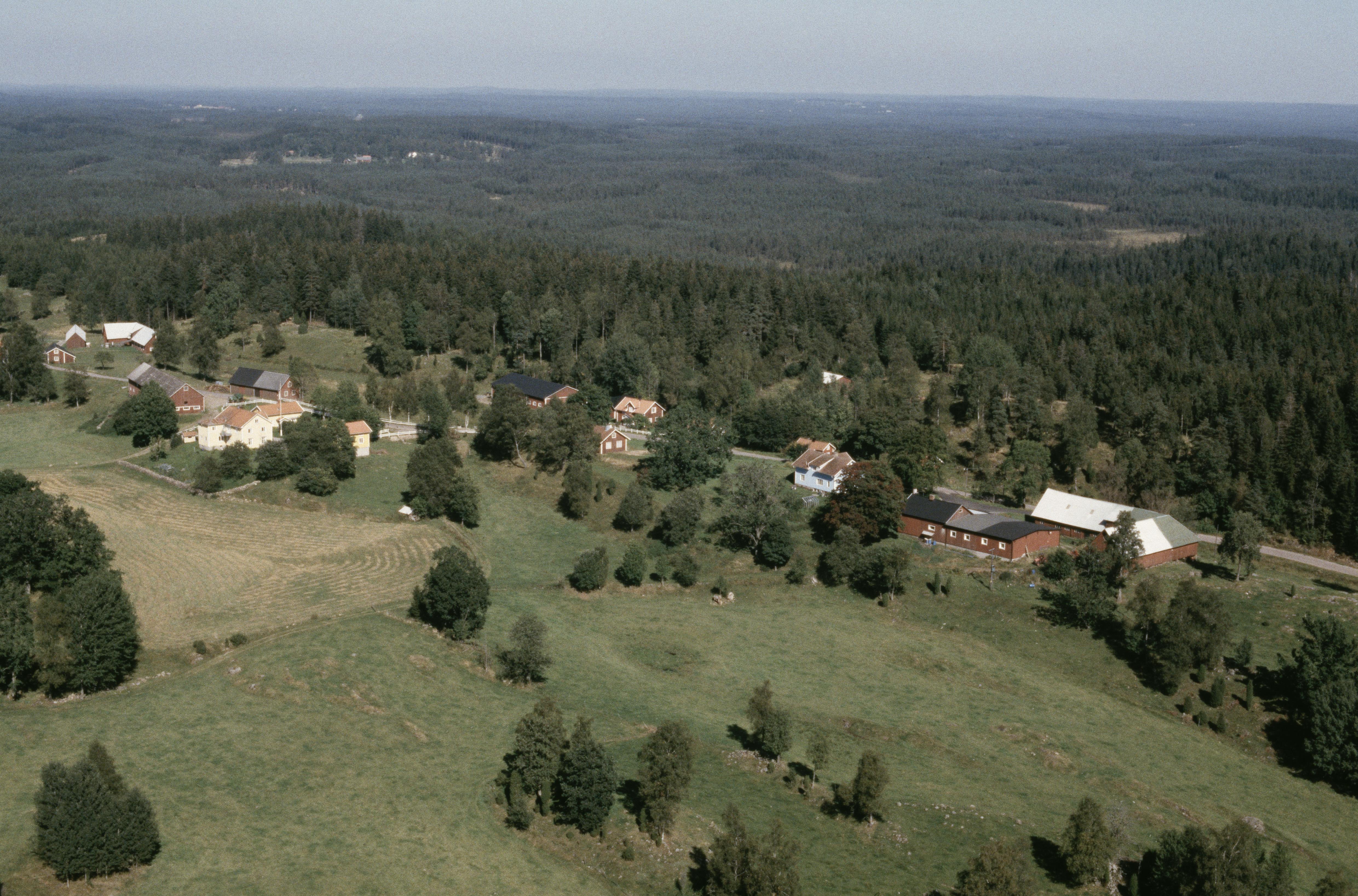 Jan Norrman, Pålskog