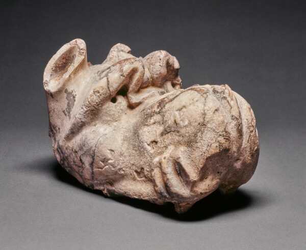 Unknown, Head of a Sea Monster