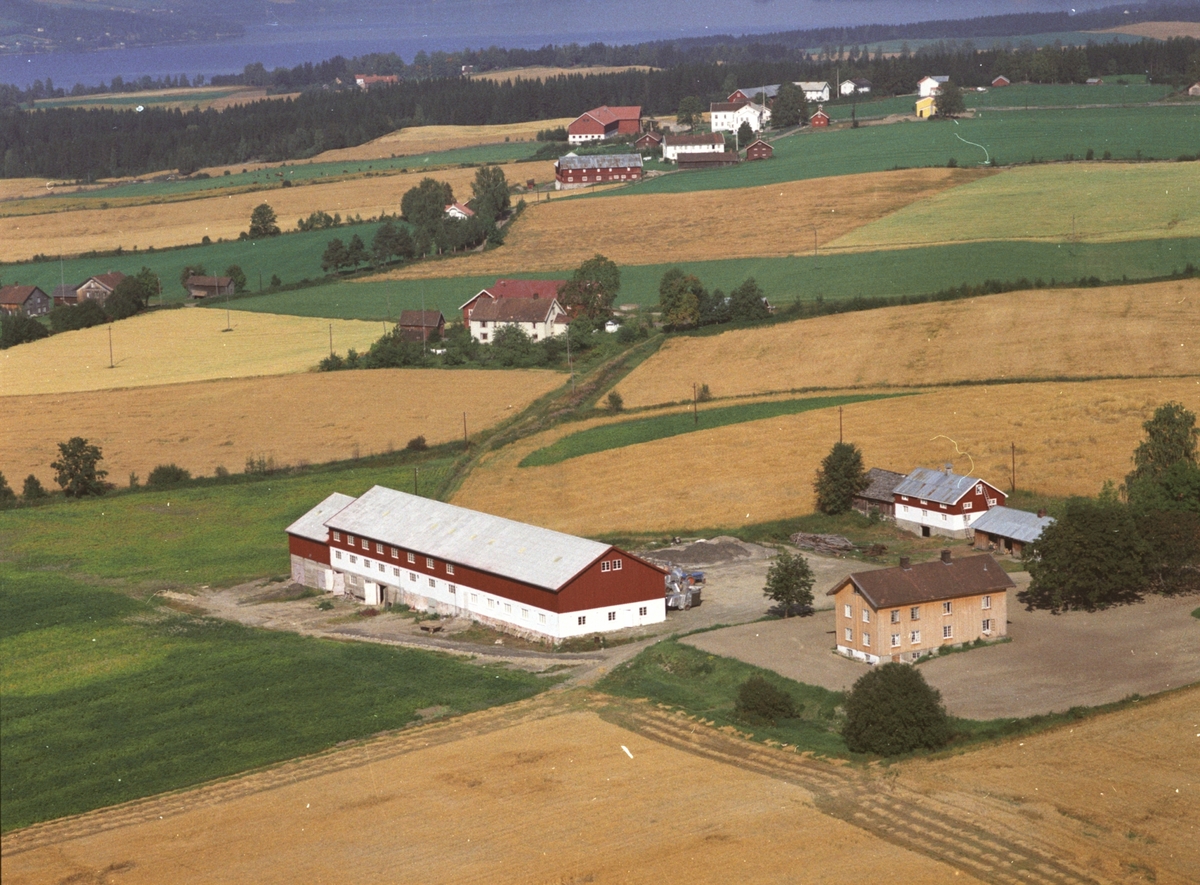 Widerøes Flyveselskap A/S, Flyfoto, Ulvilrud gard, Gaupen, Ringsaker.