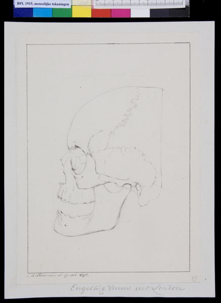 M Houtman, Head of an English woman