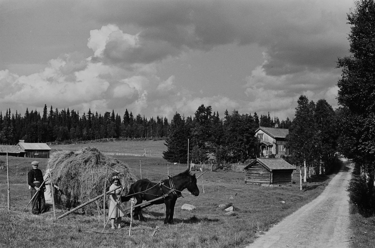Anders Beer Wilse, Prot: Veien Lördalen