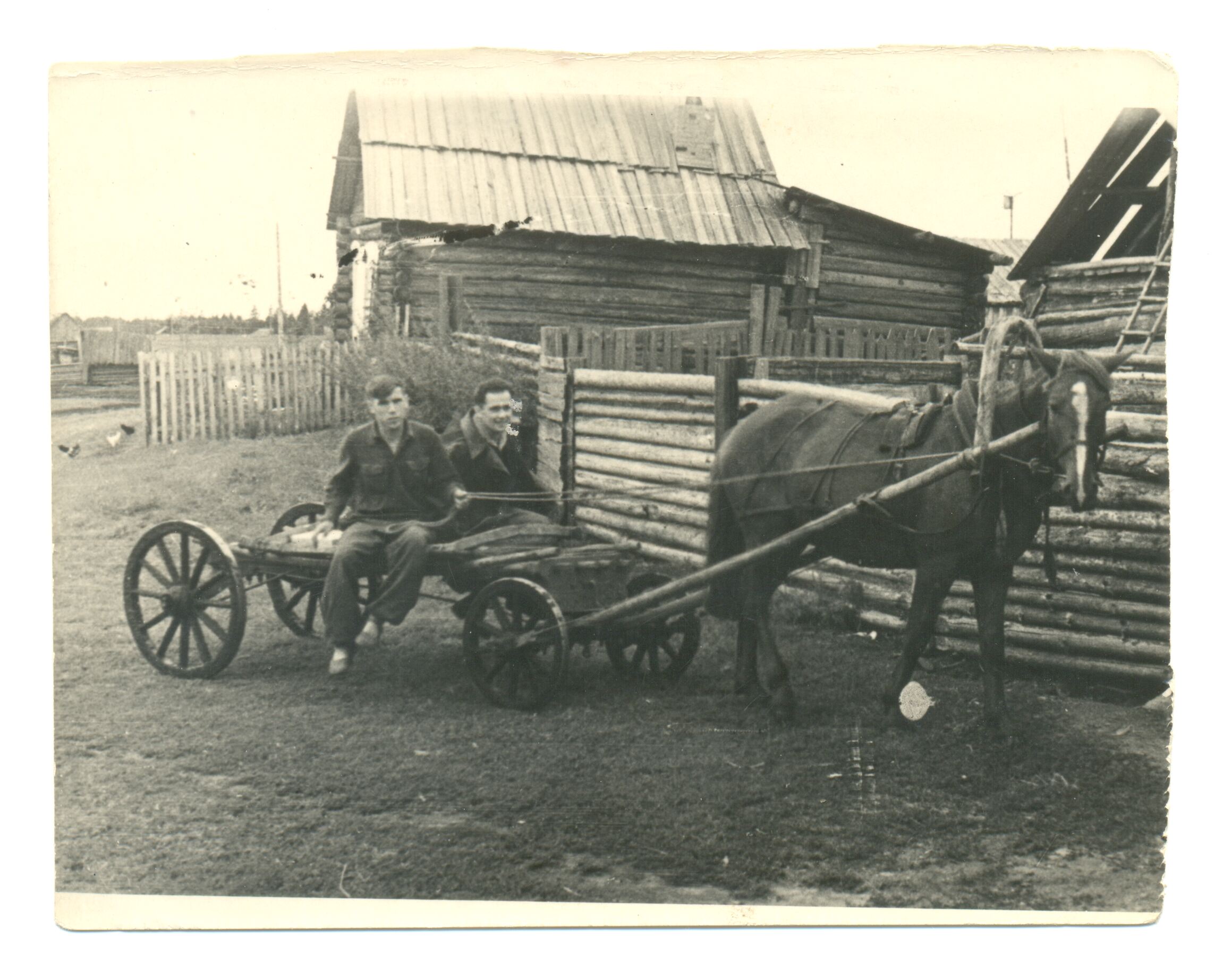 Nežinomas fotografas, Lietuviai tremtyje. Nižneudinsko raj., Irkutsko sritis, Rusija. 1952 m.