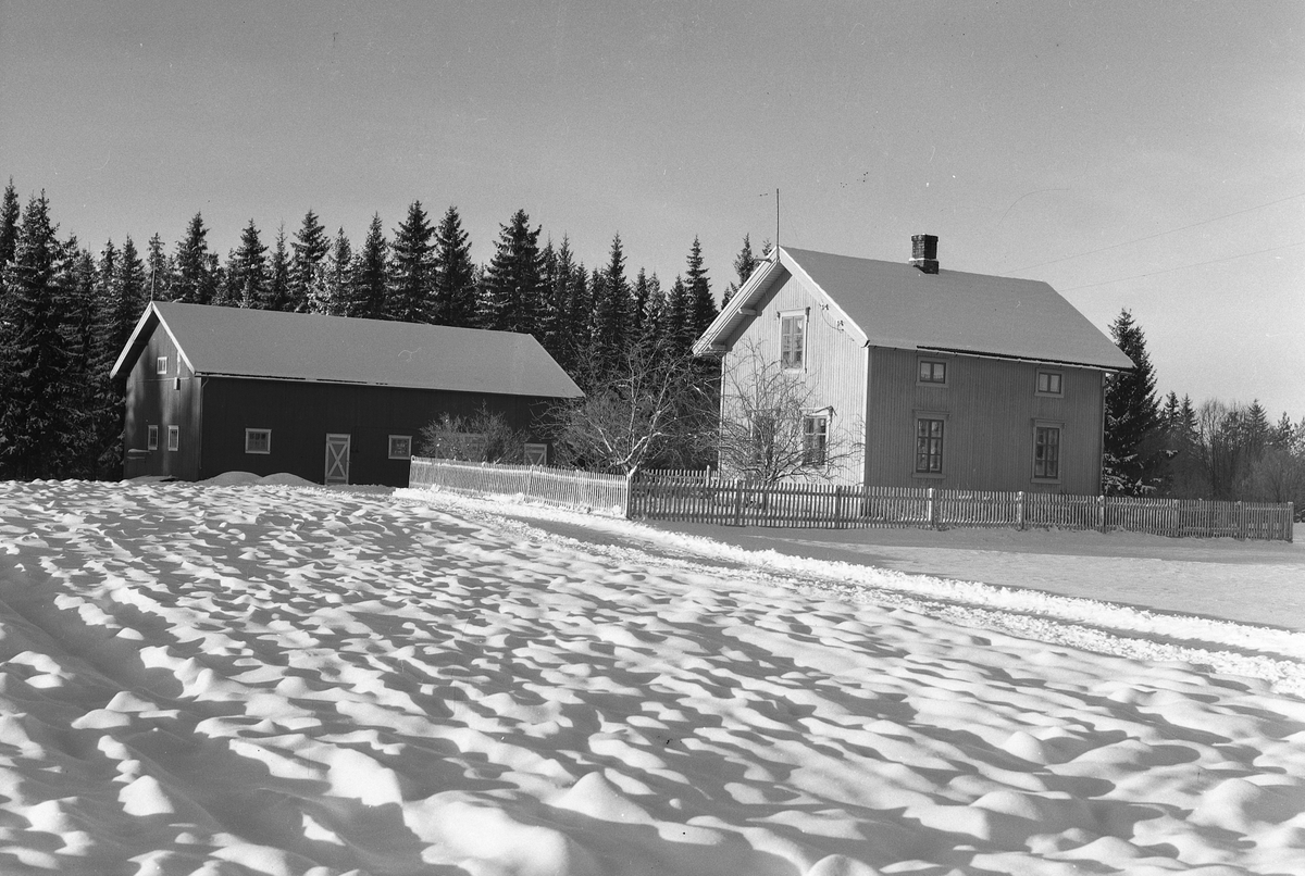 Anno Domkirkeodden, EKSTR: GARDSTUN, BJØRKLUND, LØTENVINTER. Se Løtenboka, bind 2. Bygdeboka fra 1953, side 605
