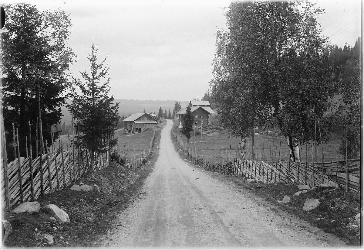 Simen Baardseth, Veien inn til Haukåssvea i Åsmarka. Garden var i sin tid siste plassen med kjerreveg før fjellvegen ble forlenget inn til Mesna og Bergundhaugen.