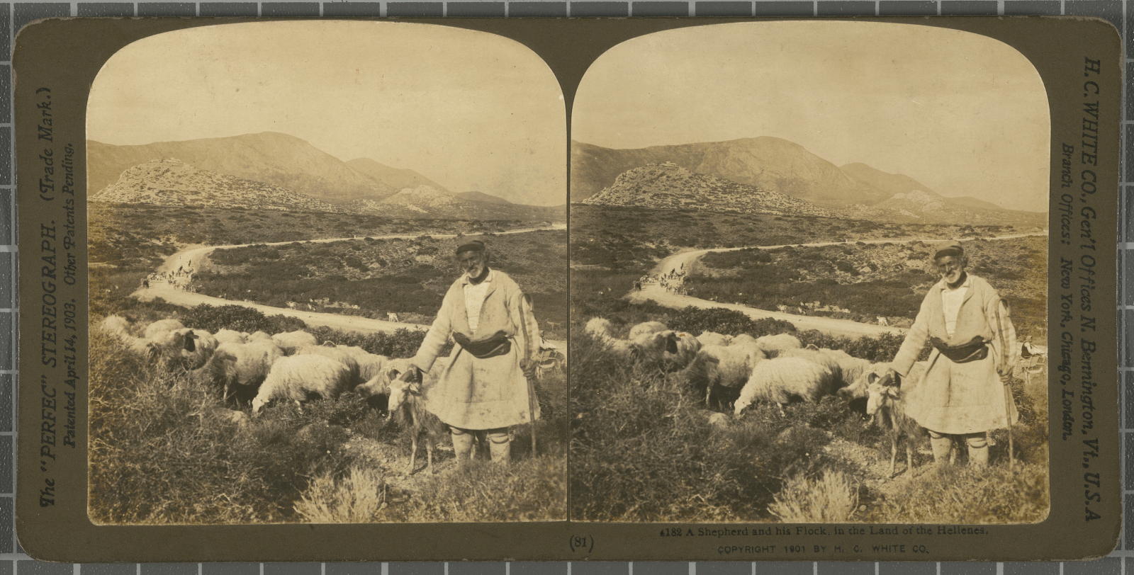 Desconegut, A Shepherd and his Flock, in the Land of the Hellenes. White, H.C. & Co., The\ ‘Perfec\’ Stereograph