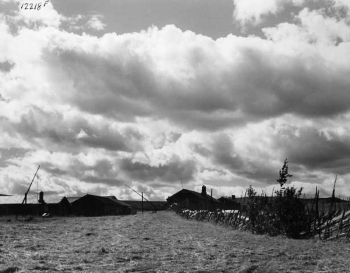 Anders Beer Wilse, -7996