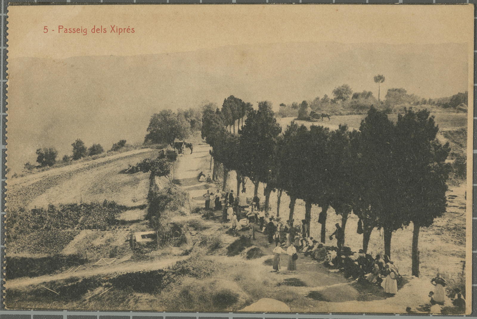 Desconegut, 5-Promenade of the Xiprés