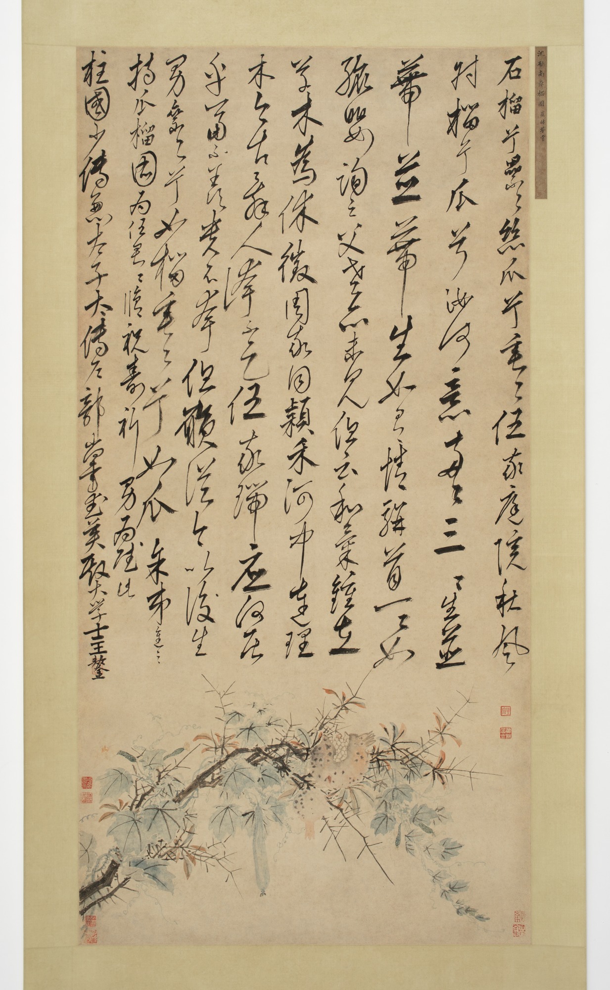 Shen Zhou, Ode to the Pomegranate and Melon Vine