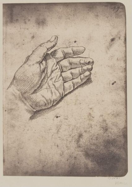 Fratelli Alinari, Study of a hand