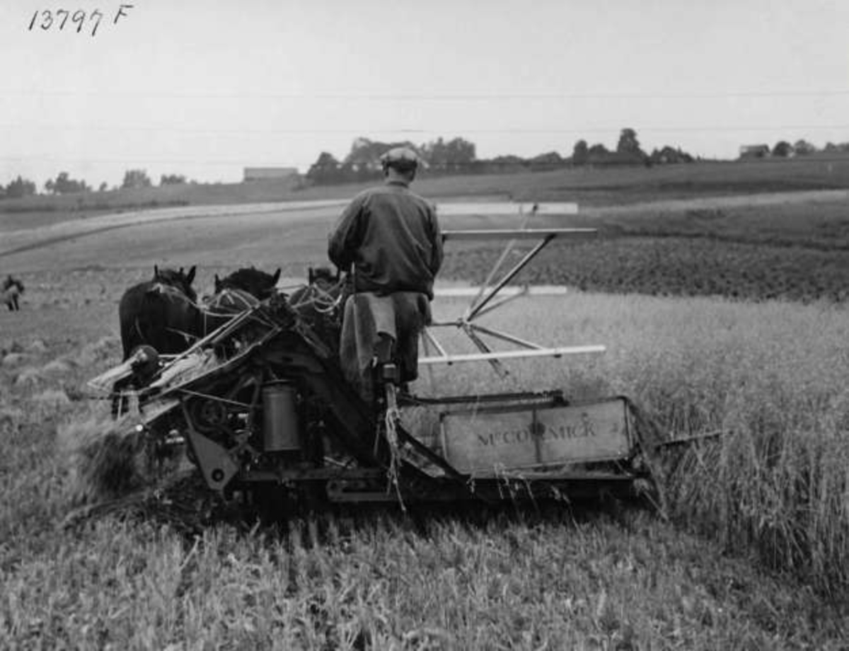 Anders Beer Wilse, -8098